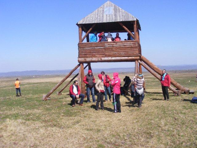 team building activitati outdoor albota sibiu